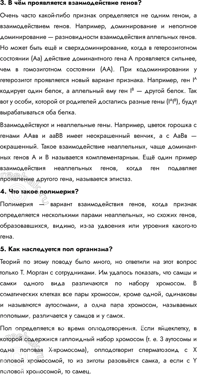Дополнительное изображение