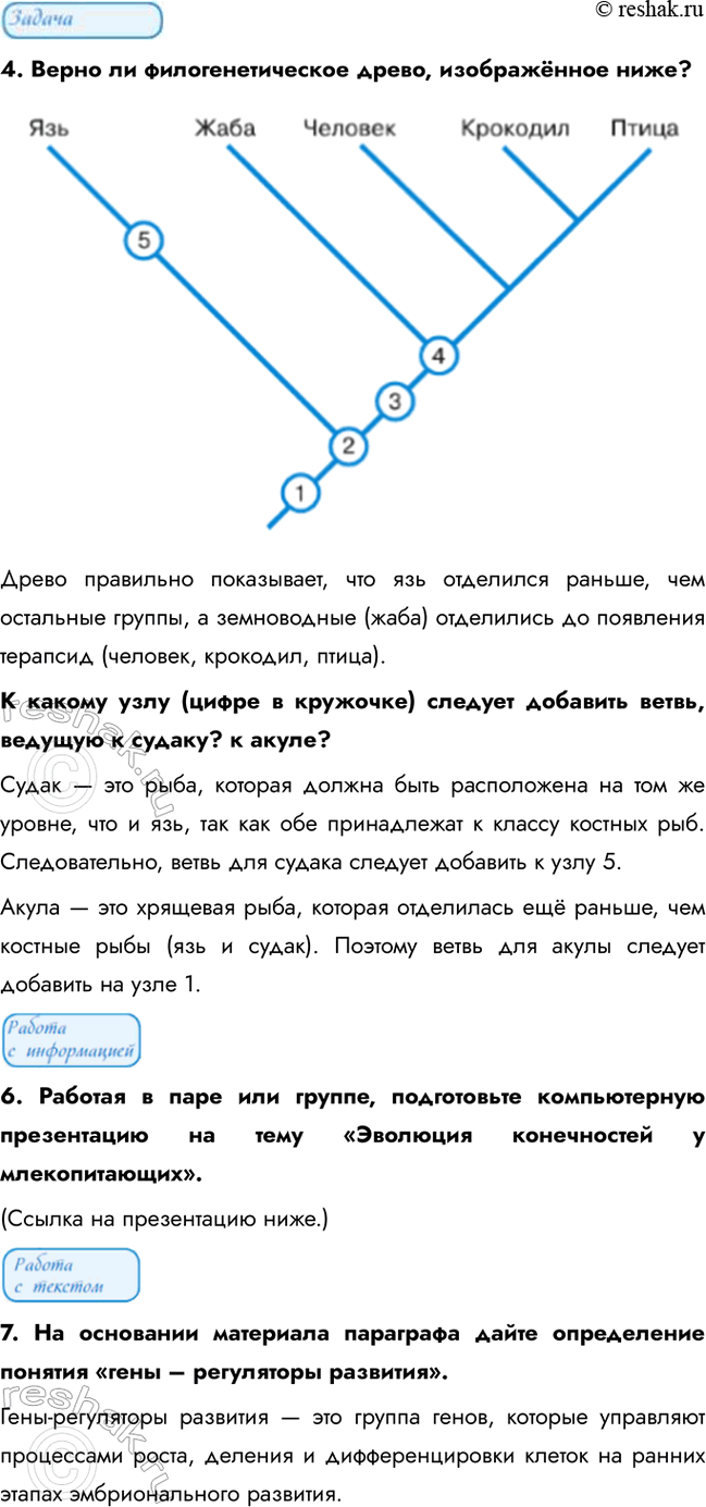 Дополнительное изображение