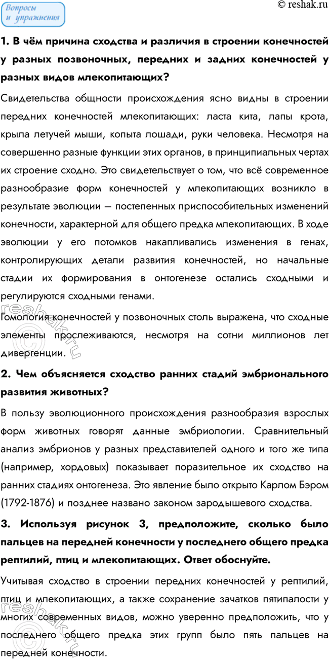 Дополнительное изображение