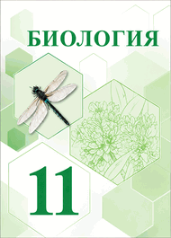 Изображение Онлайн ГДЗ Каменский 11 класс по биологии