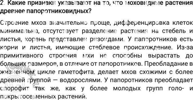 Изображение 2. Какие признаки указывают на то, что моховидные растения древнее папоротниковидных? ...