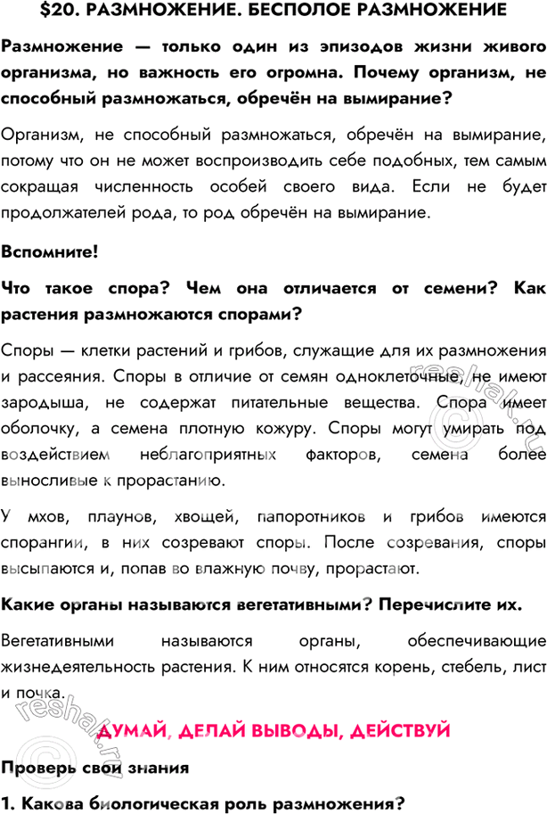 Изображение $20. РАЗМНОЖЕНИЕ. БЕСПОЛОЕ РАЗМНОЖЕНИЕ  Размножение — только один из эпизодов жизни живого...