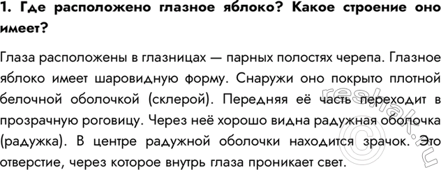 Изображение 1.Где расположено глазное яблоко? Какое строение оно имеет?  Глаза расположены в глазницах —...