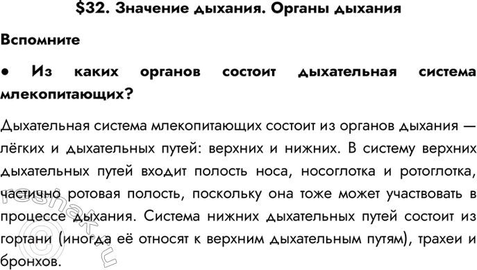 Изображение $32. Значение дыхания. Органы дыхания  Вспомните  - Из каких органов состоит дыхательная...
