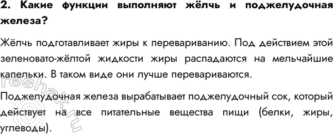 Изображение 2. Какие функции выполняют жёлчь и поджелудочная железа?  Жёлчь подготавливает жиры к...
