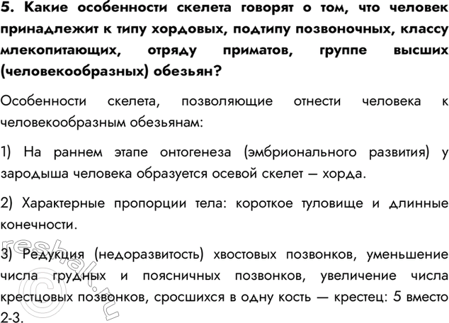 Изображение 5. Какие особенности скелета говорят о том, что человек принадлежит к типу хордовых, подтипу...