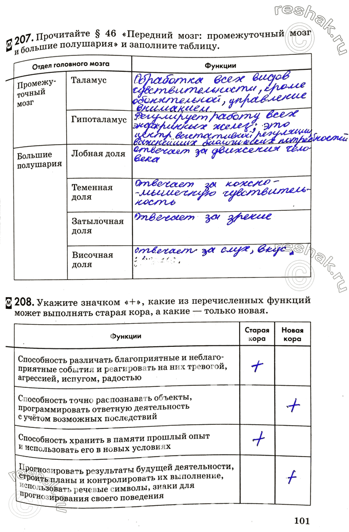 Изображение 207. Прочитайте §46 «Передний мозг: промежуточный мозг и большие полушария» и заполните...