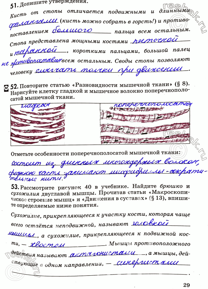 Изображение 51. Допишите утверждения.  Кисть от стопы отличается подвижными и длинными (кисть можно...