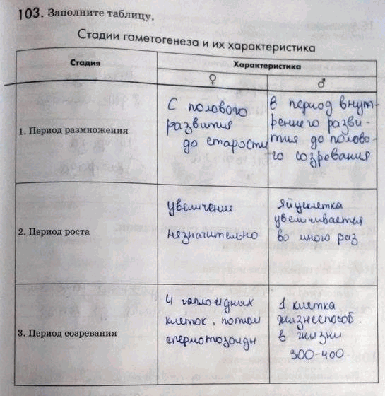 Изображение 1 03. Заполните таблицу.  Стадии гаметогенеза и их характеристика Стадия Характеристика  9 _в_  1. Период размножения  2. Период роста  3. Период...