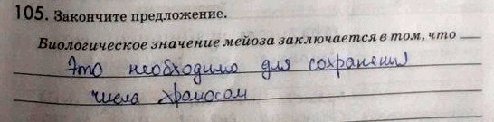 Изображение 1 05. Закончите предложение.  Биологическое значение мейоза заключается в том,...