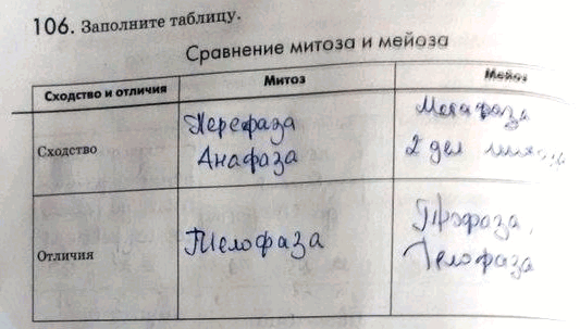Изображение 1 06. Заполните таблицу.  Сравнение митоза и мейоза Сходство и отличия Митоз Мейоз  Сходство  Отличия  Индивидуальное развитие организмов. Биогенетический...