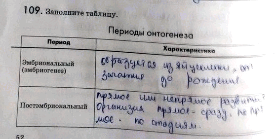 Изображение 1 09. Заполните таблицу.  Периоды онтогенеза Период Характеристика  Эмбриональный  (эмбриогенез) ...