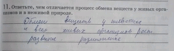 Изображение Упр.11 ГДЗ Рабочая тетрадь Пасечник 9 класс