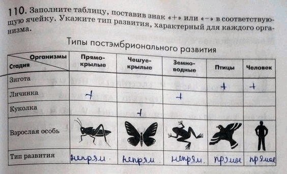 Изображение 1 1 0. Заполните таблицу, поставив знак «+» или «-» в соответствующую ячейку. Укажите тип...