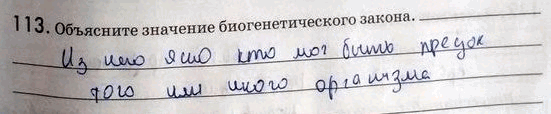 Изображение 113. Объясните значение биогенетического закона.  Закономерности наследования признаков, установленные Г. Менделем. Моногибридное...