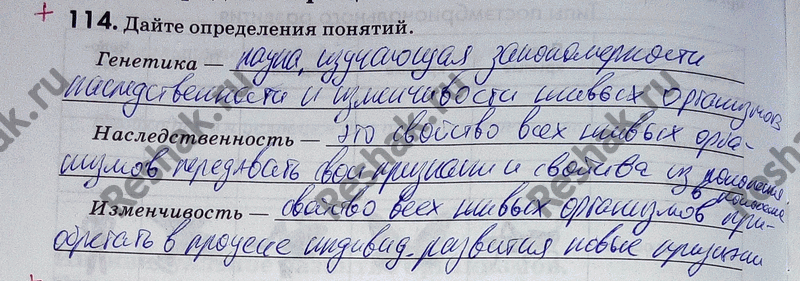 Изображение Упр.114 ГДЗ Рабочая тетрадь Пасечник 9 класс