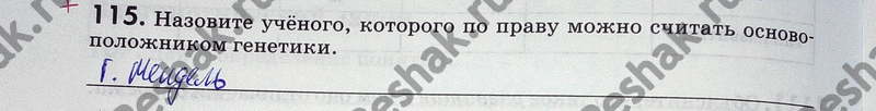 Изображение 115. Назовите учёного, которого по праву можно считать основоположником...