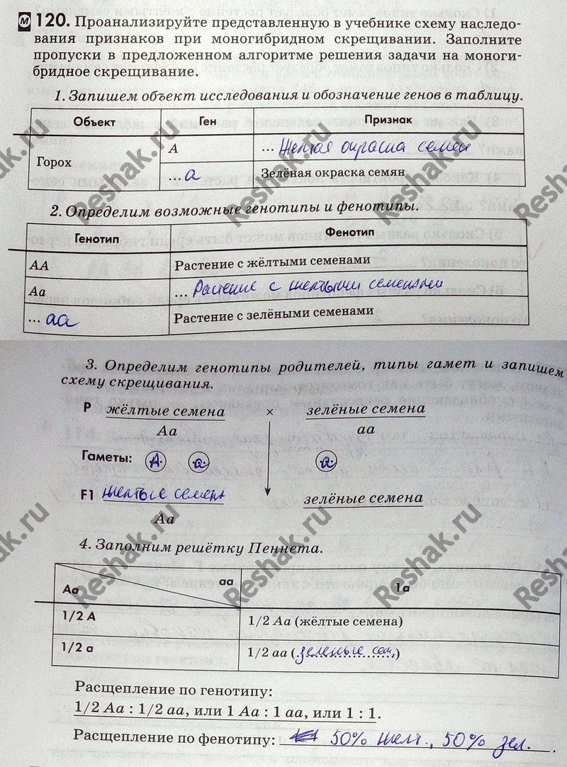 Изображение 1 20. Проанализируйте представленную в учебнике схему наследования признаков при...