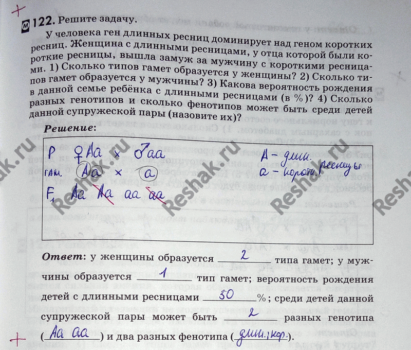 Изображение 1 22. Решите задачу.  У человека ген длинных ресниц доминирует над геном коротких ресниц....