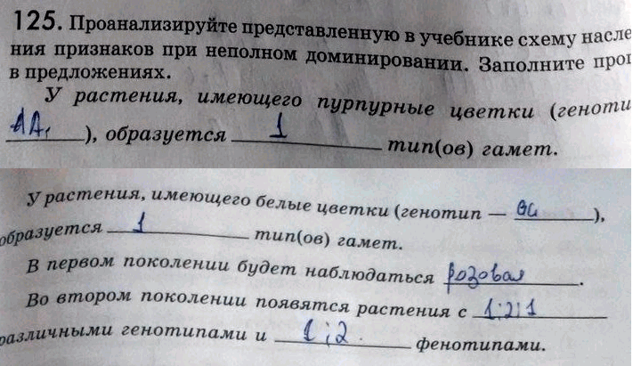Изображение 1 25. Проанализируйте представленную в учебнике схему наследования признаков при неполном...