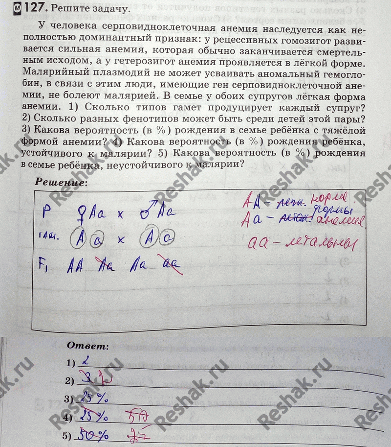 Изображение 1 27. Решите задачу.  У человека серповидно-клеточная анемия наследуется как неполностью...