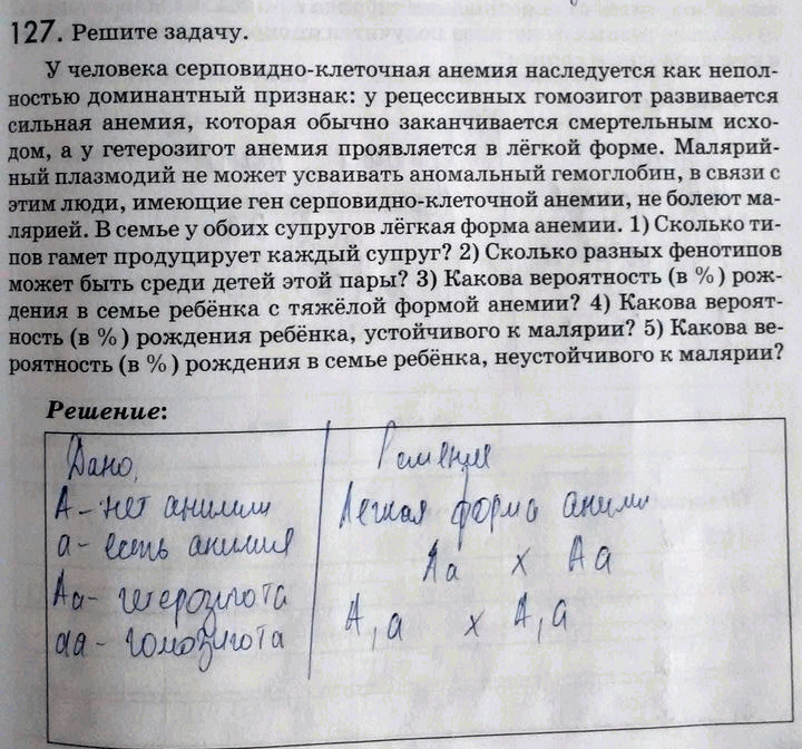 Изображение 1 27. Решите задачу.  У человека серповидно-клеточная анемия наследуется как неполностью...