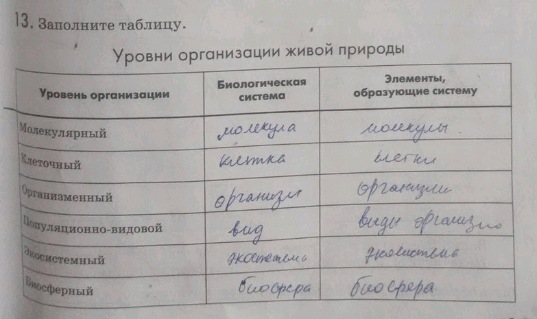 Изображение 13. Заполните таблицу.  Уровни организации живой природы Уровень организации Биологическая...