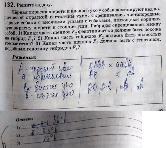 Изображение 1 32. Решите задачу.  Чёрная окраска шерсти и висячее ухо у собак доминируют над коричневой...