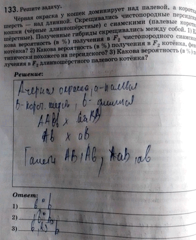 Изображение 1 33. Решите задачу.  Чёрная окраска у кошек доминирует над палевой, а короткая шерсть — над...
