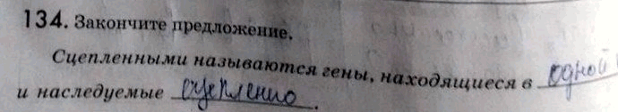 Изображение 1 34. Закончите предложение.  Сцепленными называются гены, находящиеся в. и...