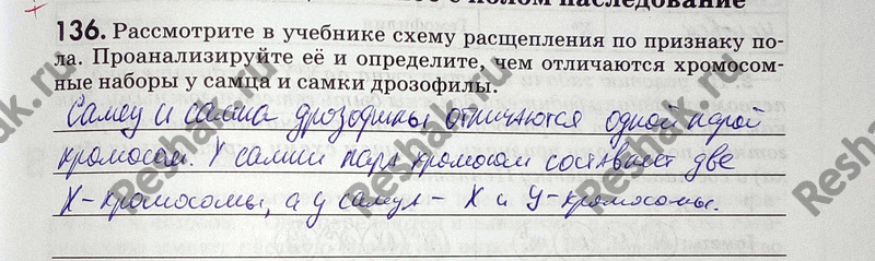 Изображение 1 36. Рассмотрите в учебнике схему расщепления по признаку пола. Проанализируйте её и определите, чем отличаются хромосомные наборы у самца и самки...