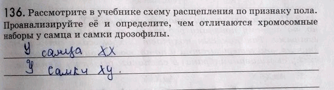 Изображение 1 36. Рассмотрите в учебнике схему расщепления по признаку пола. Проанализируйте её и определите, чем отличаются хромосомные наборы у самца и самки...