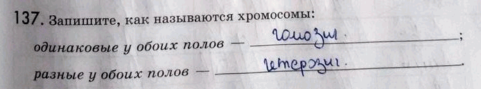 Изображение 1 37. Запишите, как называются хромосомы: одинаковые у обоих полов —; разные у обоих полов...