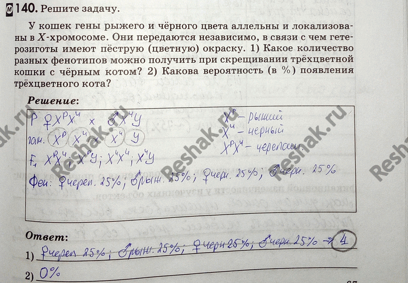 Изображение 1 40. Решите задачу.  У кошек гены рыжего и чёрного цвета аллельны и локализованы в Х-хромосоме....