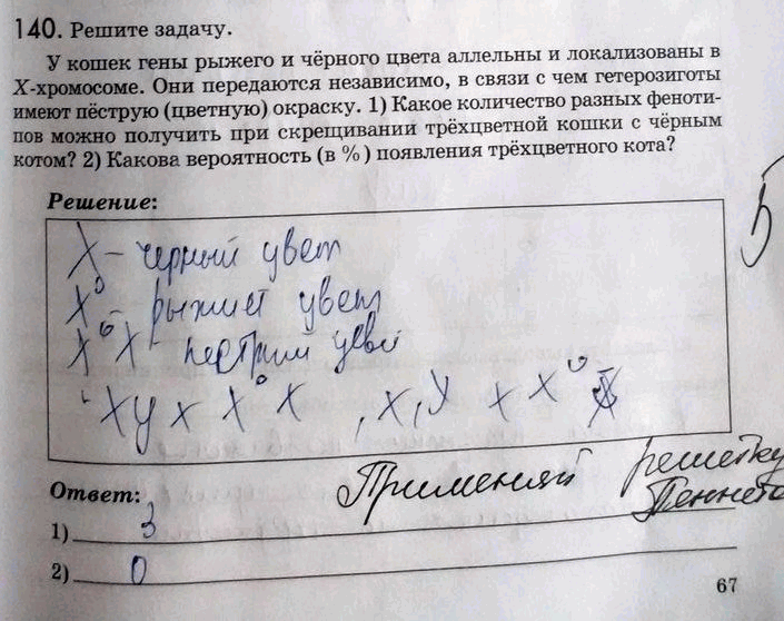 Изображение 1 40. Решите задачу.  У кошек гены рыжего и чёрного цвета аллельны и локализованы в Х-хромосоме....