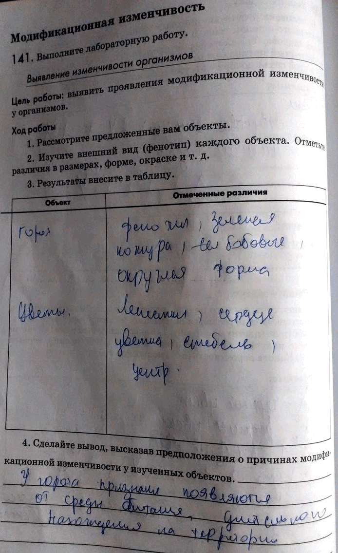 Изображение 1 41. Выполните лабораторную работу.  Выявление изменчивости организмов Цель работы: выявить...