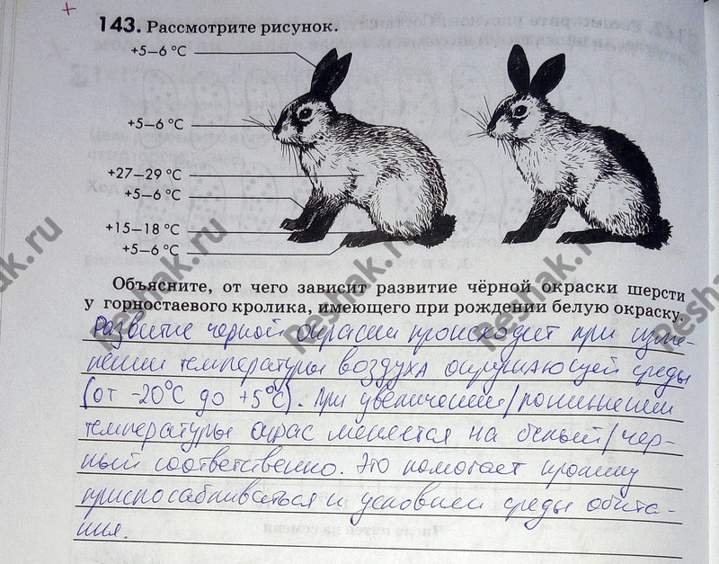 Изображение 1 43. Рассмотрите рисунок.  +5—6°С +5—6° C +27—29°С +5-6°С + 15—18°С +5—6°С Объясните, от чего зависит...