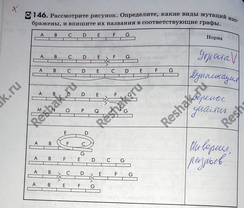 Изображение 1 46. Рассмотрите рисунок. Определите, какие виды мутаций изображены, и впишите их названия в соответствующие...