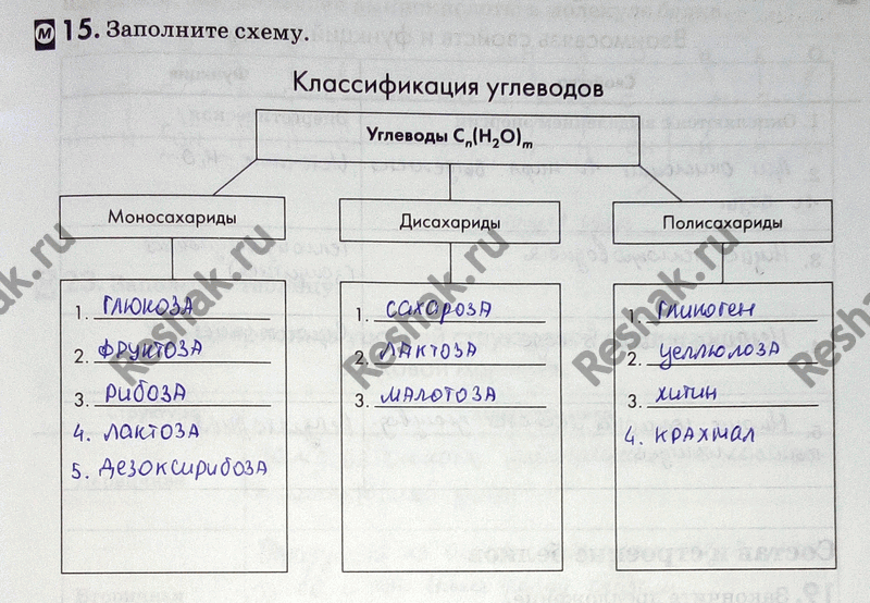 Изображение Упр.15 ГДЗ Рабочая тетрадь Пасечник 9 класс