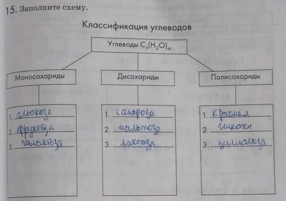 Изображение Упр.15 ГДЗ Рабочая тетрадь Пасечник 9 класс