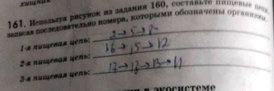 Изображение 1 61. Используя рисунок из задания 160, составьте пищевые цепи, записав последовательно номера,...