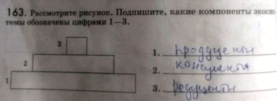 Изображение 1 63. Рассмотрите рисунок. Подпишите, какие компоненты экосистемы обозначены цифрами...