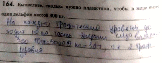 Изображение 1 64. Вычислите, сколько нужно планктона, чтобы в море вырос один дельфин массой 300 кг_ Саморазвитие...