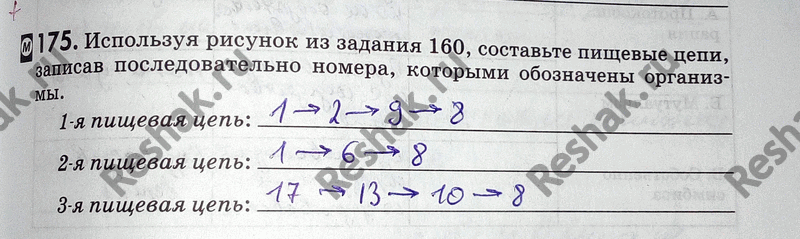 Изображение Упр.175 ГДЗ Рабочая тетрадь Пасечник 9 класс