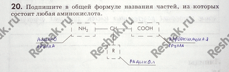 Изображение 20. Подпишите в общей формуле названия частей, из которых состоит любая...