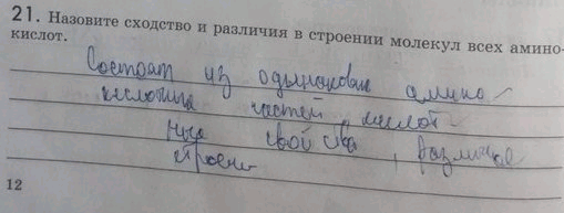 Изображение Упр.21 ГДЗ Рабочая тетрадь Пасечник 9 класс