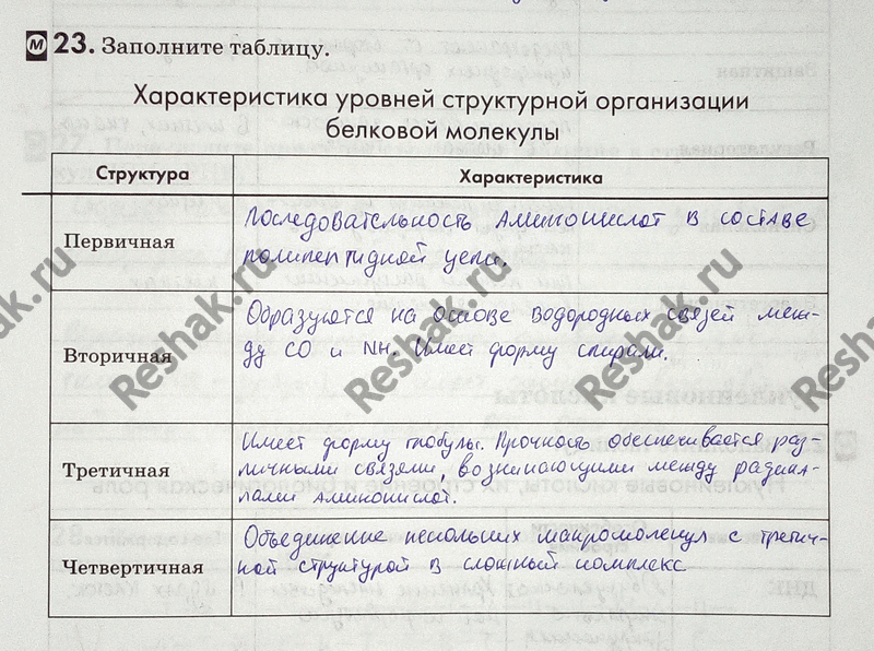 Изображение 23. Заполните таблицу.  Характеристика уровней структурной организации белковой молекулы...