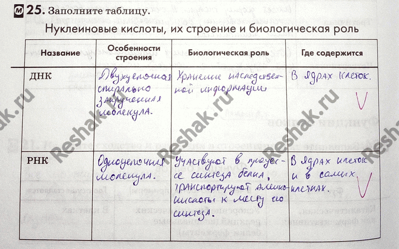 Изображение 25. Заполните таблицу.  Нуклеиновые кислоты, их строение и биологическая роль Название Особенности Биологическая роль Где содержится  строения  ДНК ...