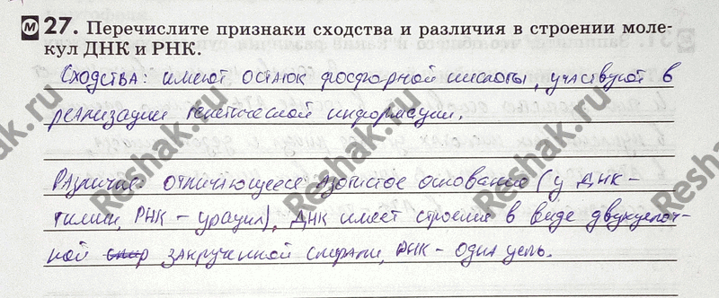Изображение Упр.27 ГДЗ Рабочая тетрадь Пасечник 9 класс