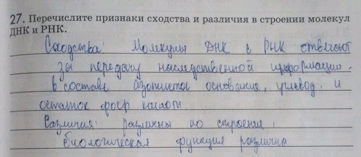 Изображение Упр.27 ГДЗ Рабочая тетрадь Пасечник 9 класс